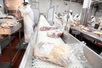Cancillería confirmó que carne vacuna y cebollas serán vendidas al exterior. De qué se tratan los acuerdos y cómo se lograron.