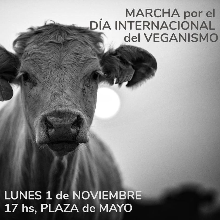 El Día Internacional del Veganismo se conmemora cada 1° de noviembre