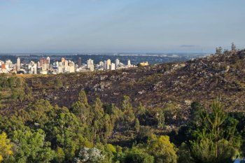 el incendio de tandil esta controlado y la provincia saco chapa de su capacidad de respuesta