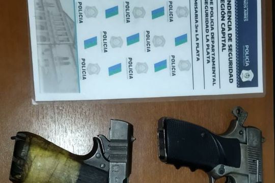 Las armas secuestradas a los ladrones en La Plata
