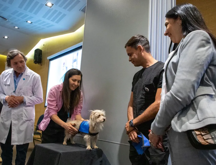 Benja es el primer trabajador no humano que ya forma parte del Observatorio del Vínculo Humano-Animal del Hospital El Cruce Dr. Néstor Kirchner, ubicado en Florencio Varela