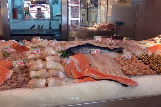 ¿tiburon por atun? denuncian fraude en la venta de pescado en la costa bonaerense
