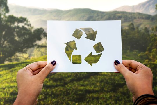 En el Día Muncial del Reciclaje: ¿qué es y cómo hacerlo en casa?
