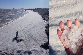 Las costas del Lago Epecuén se tiñeron de nieve de sal: de qué se trata este fenómeno natural