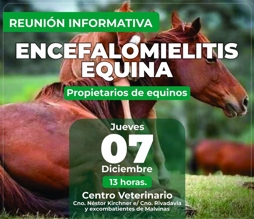 Ante Los Alarmantes Casos De Encefalomielitis Equina, Habrá Una Reunión ...