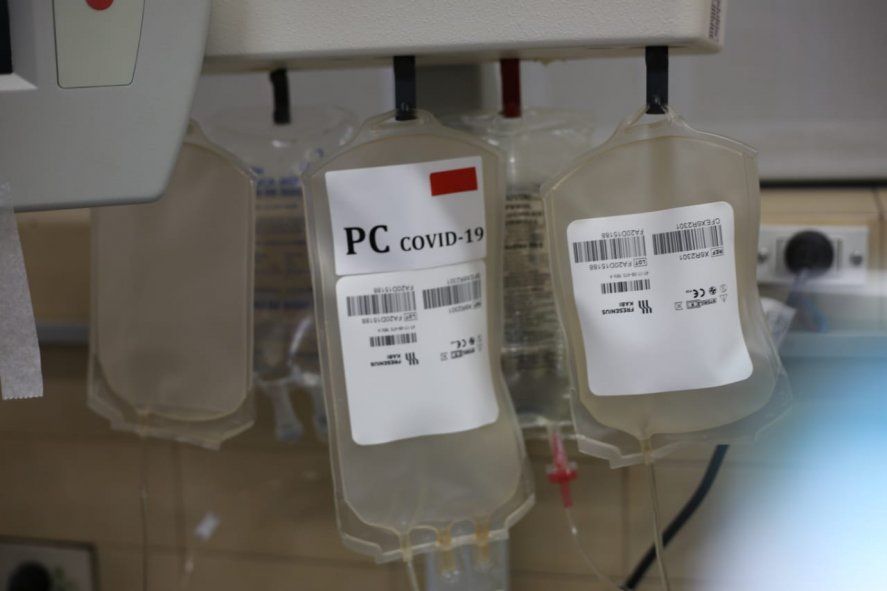 Hoy en La Plata: Doná plasma y sangre ¿Cómo se si puedo?