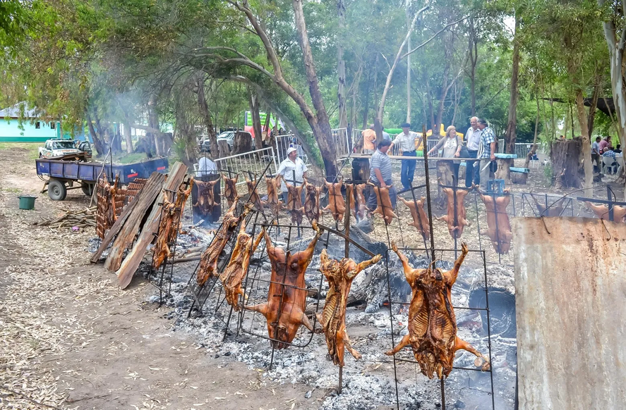 El domingo 17 de noviembre se llevar&aacute; adelante la Fiesta del Lech&oacute;n de Campo de Las Flores.&nbsp;