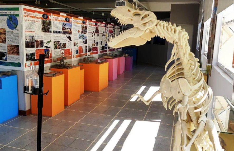 El Museo de Ciencias de Monte Hermoso posee alrededor de seis mil piezas entre las arqueol&oacute;gicas y paleontol&oacute;gicas.