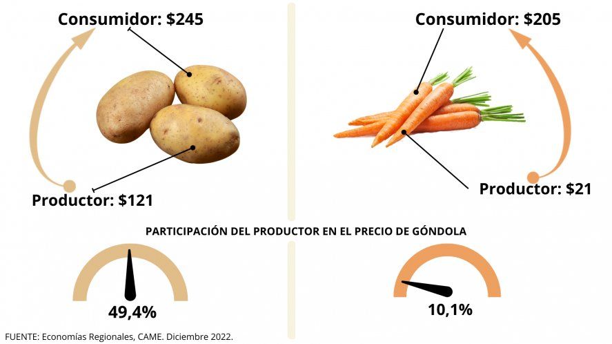 La zanahoria fue el producto con mayor brecha de precios en diciembre de 2022.