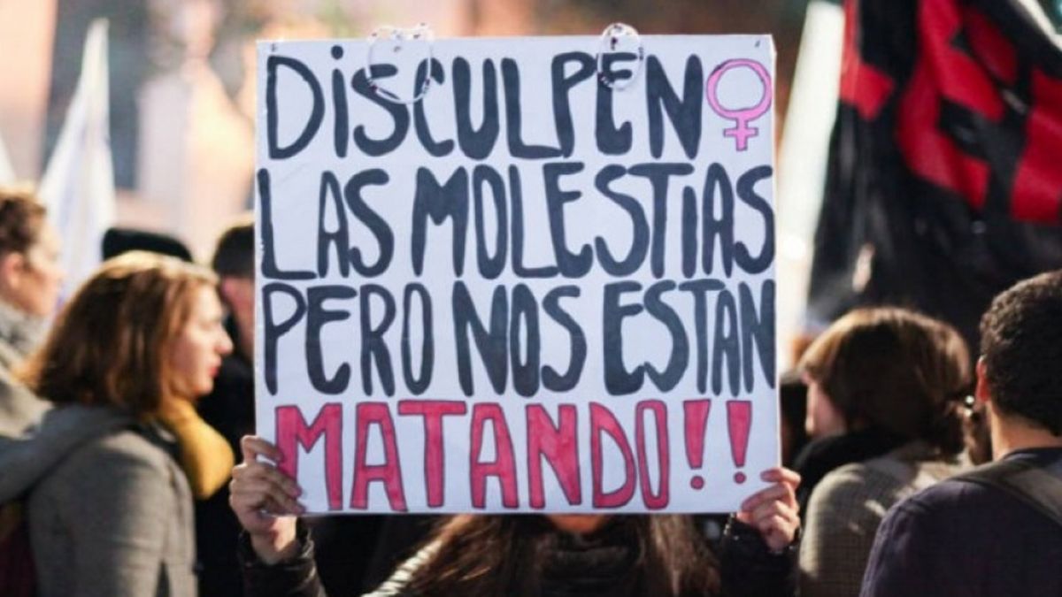 Violencia De Género En Argentina: El Año Arrancó Con Un Femicidio Cada ...