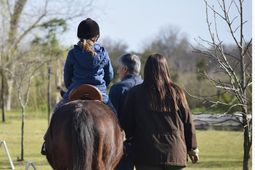 Jornada gratuita de actividades y terapias con caballos. 