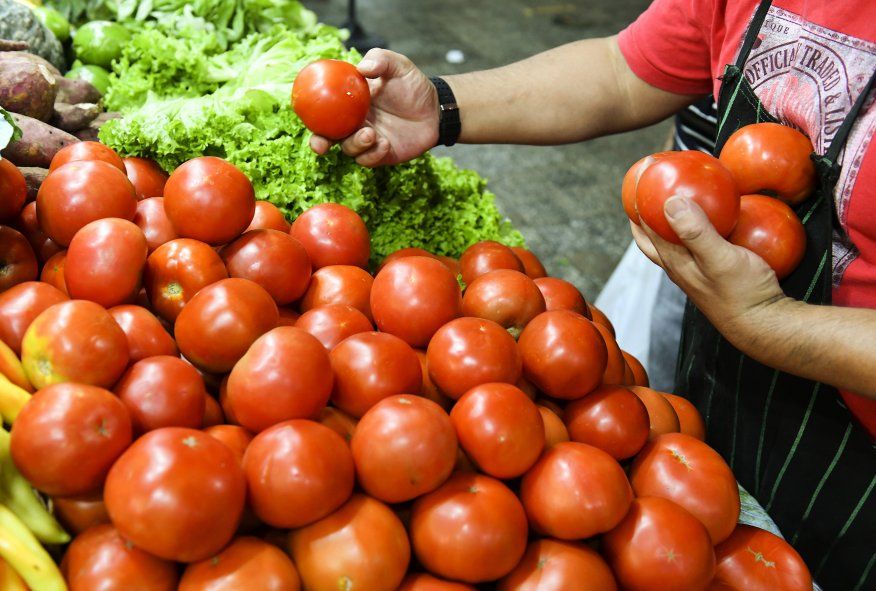 Este fin de semana se llevará a cabo la edición número 19  de la tradicional Fiesta del Tomate Platense en la Estación Experimental MDA Gorina (501 y 147)
