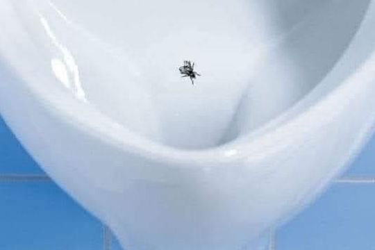la mosca en el mingitorio: una solucion insolita que describe a los varones