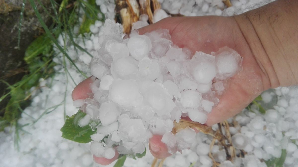 Destrozos Por Granizo, Vientos Y Tormentas: Así Fue El Temporal En La ...