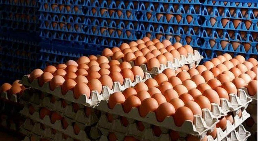 El maple de huevos. Un producto histórico y nuevo a la vez