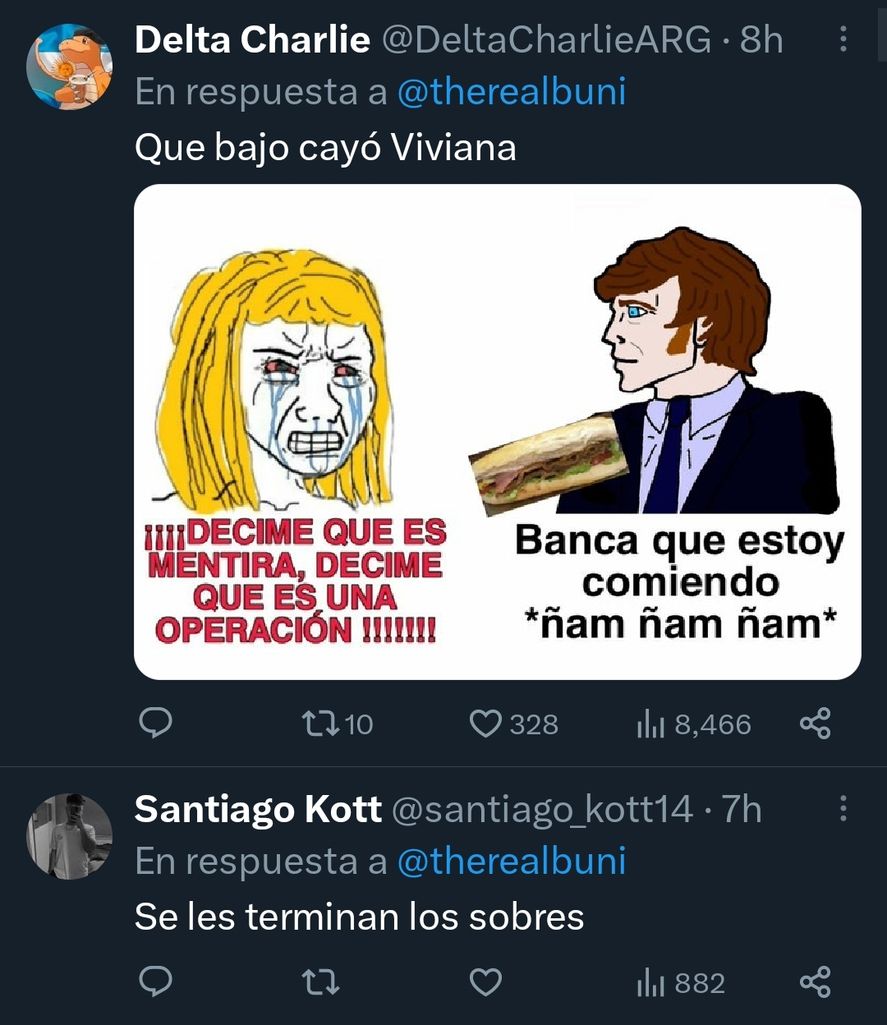 Los memes por el ninguneo de sus compañeros de La Nación Más a Viviana Canosa, porque seguía despotricando contra Javier Milei 