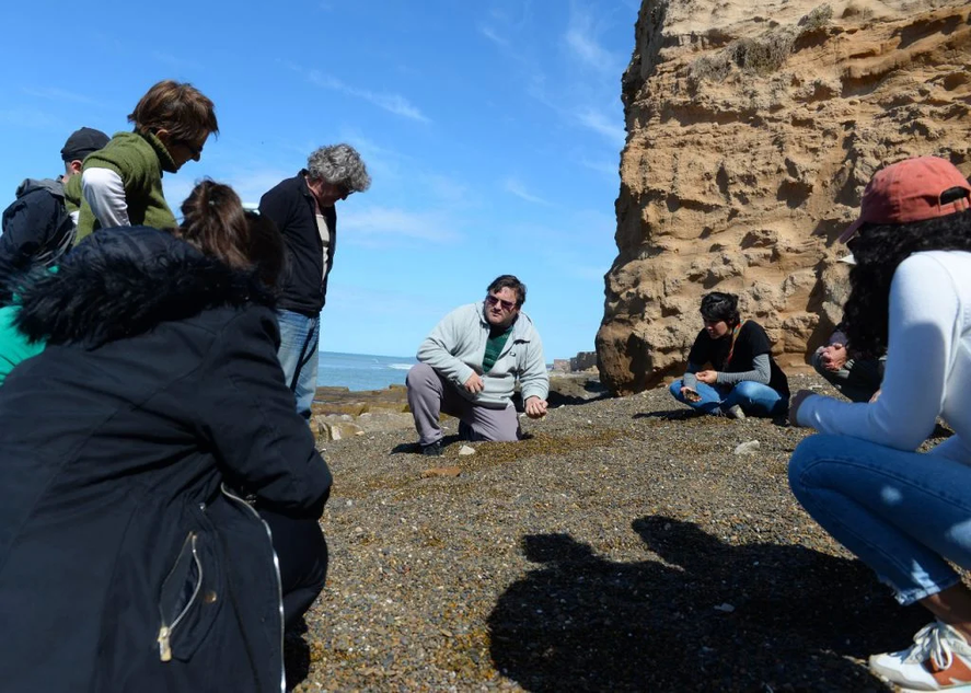 En la localidad bonaerense de Mar del Plata encontraron trazas fósiles que demuestran que los peces ya se movían en cardúmenes en el paleozoico.