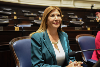 La diputada Viviana Guzzo en la Legislatura. 