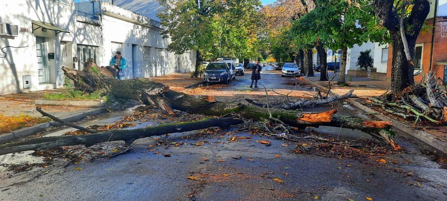 El temporal también generó inconvenientes en La Plata y otros distritos bonaerenses