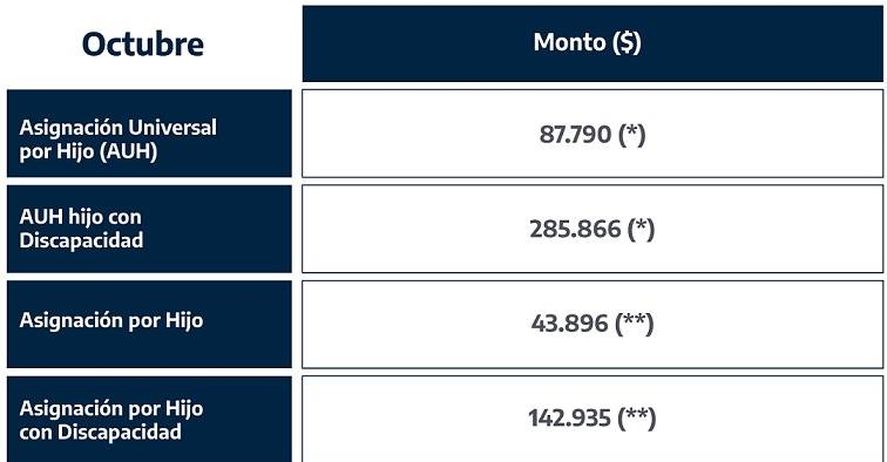 AUH y asignaciones familiares: de cuánto serán los aumentos en octubre  