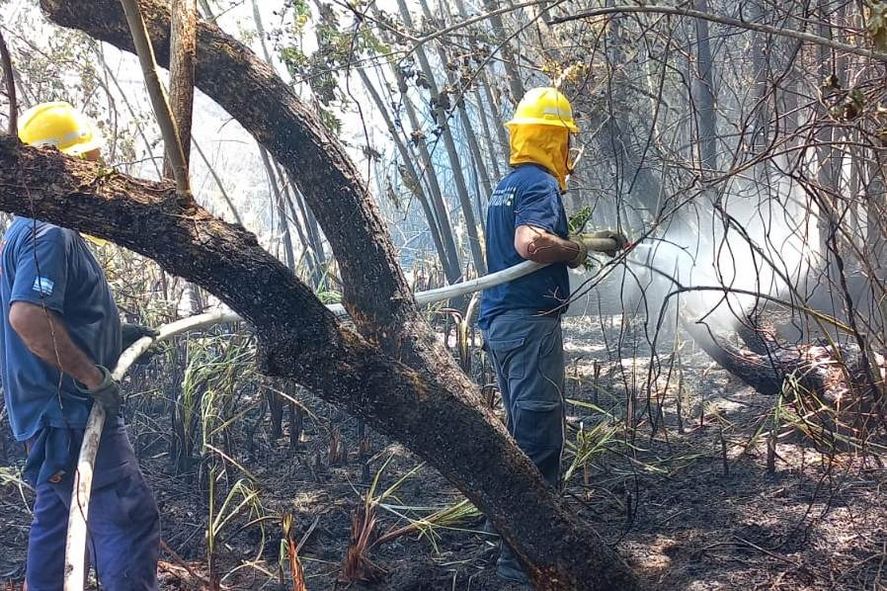 Controlan incendios en el Delta de San Fernando: mirá las fotos