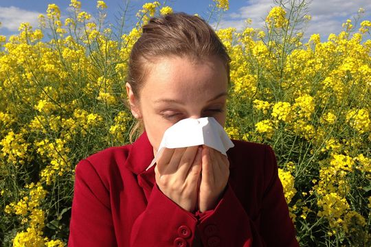 Con la primavera llegaron las alergias: ¿cuál es la causa y cómo cuidarnos?