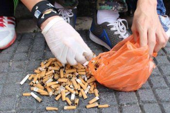 sumate: recolectan colillas de cigarrillos para reciclarlas y producir ladrillos