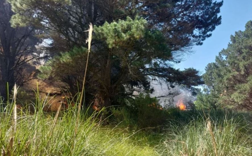 Un incendio alcanzó casi 100 hectáreas en Mar del Plata