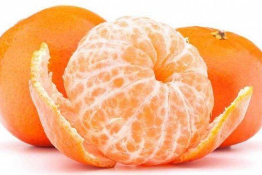 la mandarina, una aliada contra el colesterol: la unlp busca prevenir y disminuir la enfermedad