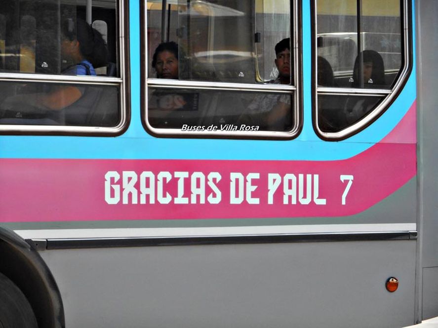 Una línea de micros de Pilar homenajea a nuestra Selección con coches pintados con los nombres u números de los jugadores campeones