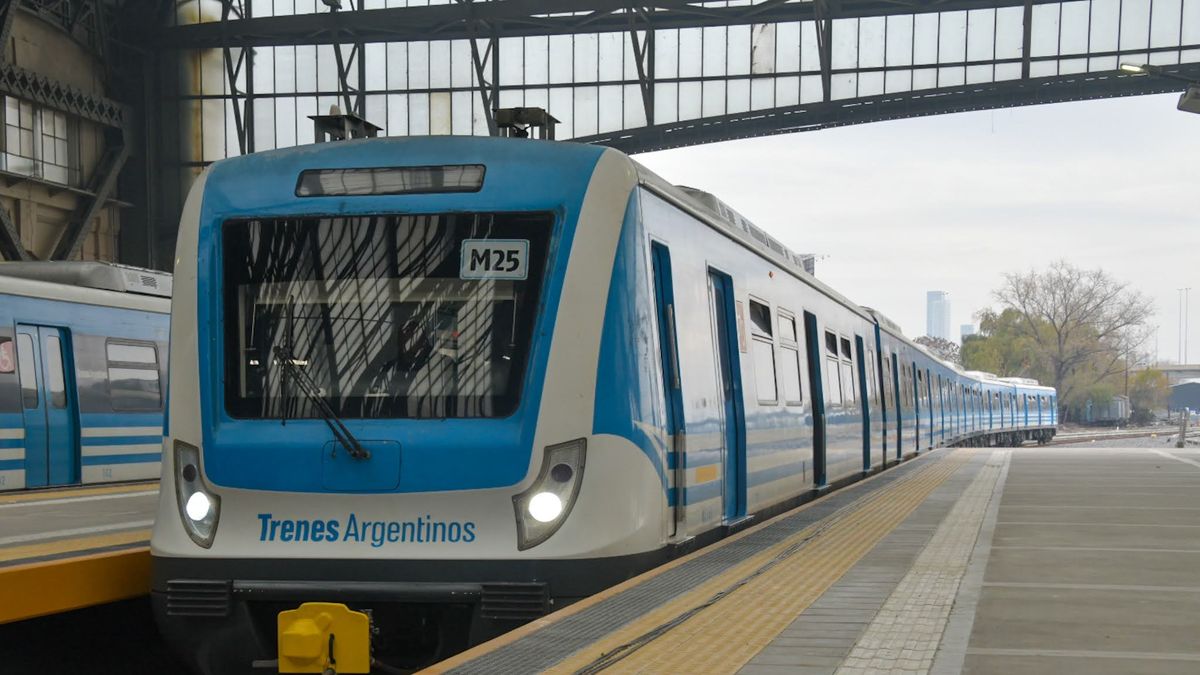 Un Ramal Del Tren Mitre Se Encuentra Con Demoras ¿cuál Es Y Por Qué Infocielo 4239