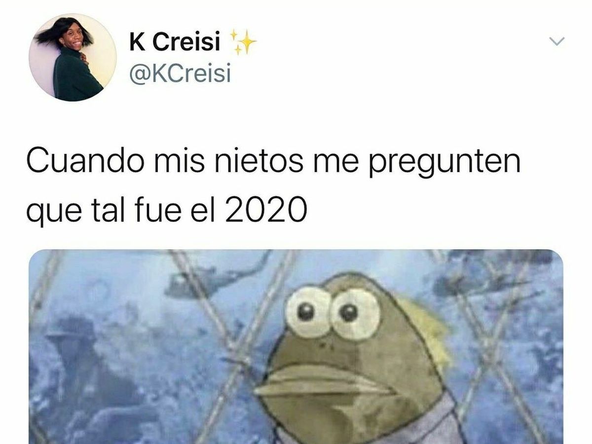 Pandemia: ver memes ayuda a superar el estrés | Infocielo