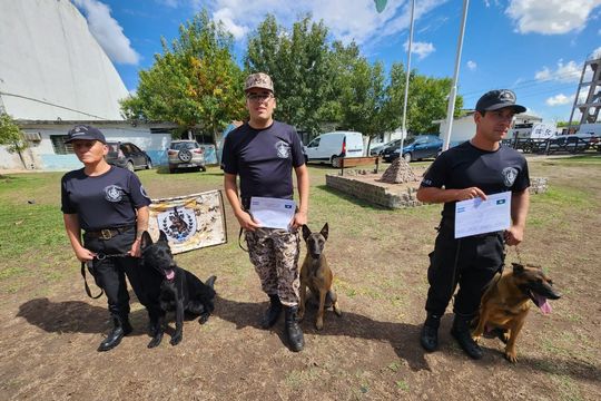 las carceles bonaerenses suman guias de perros de seguridad