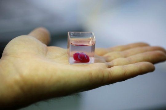 medicina del futuro: mira el primer corazon vivo hecho con una impresora 3d y tejido humano
