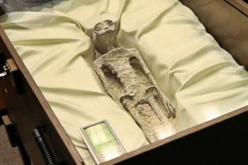 Presentaron en México cadáveres de extraterrestres encontrados en Perú