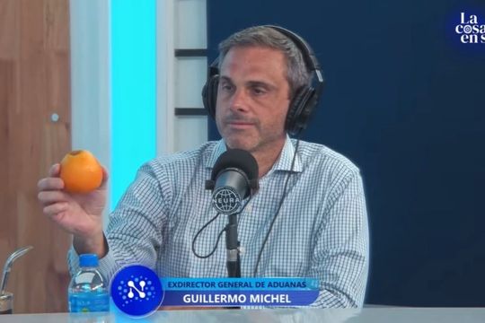 Guillermo Michel