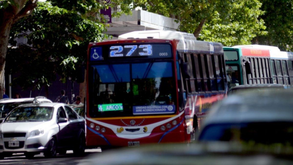 La Plata: se levanta el paro de colectivos | Infocielo