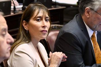 una senadora kirchnerista tildo a javier milei de enfermo mental