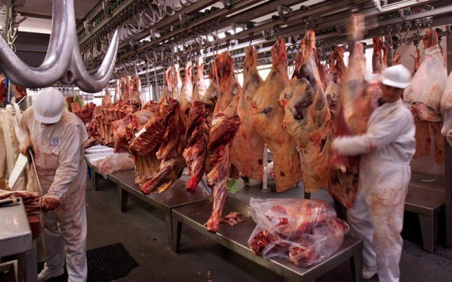 El Gobierno nacional apuesta a reforzar los controles anti evasión en la cadena de ganados y carnes