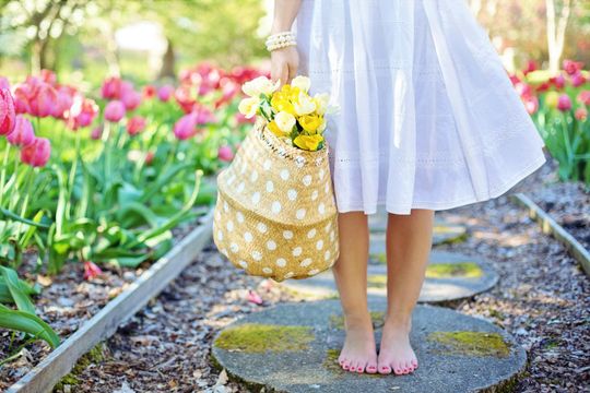 ¿que significado tiene la primavera y por que se la conoce como temporada de las flores?