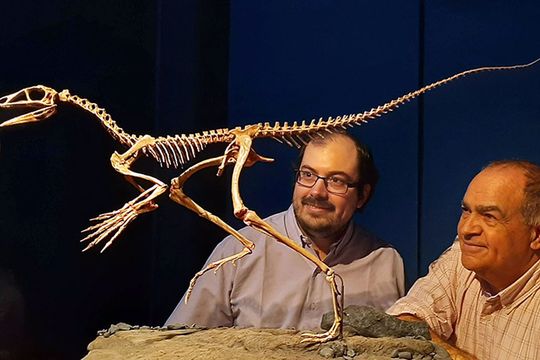 dos investigadores del conicet develaron un enigma de la paleontologia