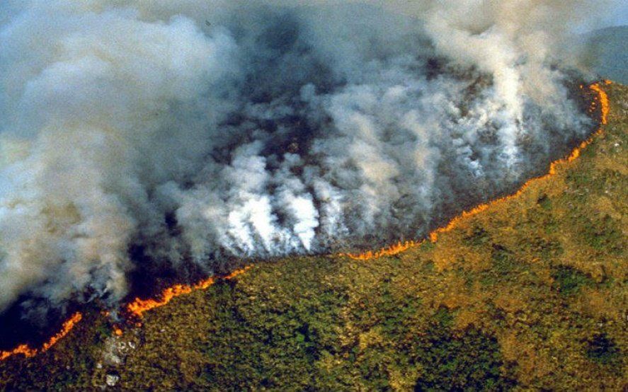 Alerta: se espera que el humo por los incendios en el Amazonas llegue a la Provincia