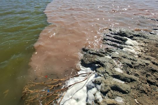 Contaminación del Río Salado: Empresa avícola desmiente a un Municipio de Roque Pérez y lo acusa de frenar obras