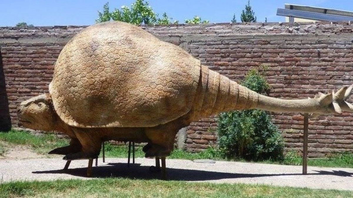 Encontraron Un Fósil Gigante De Gliptodonte En Las Flores Infocielo