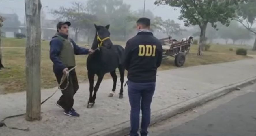 Las apuestas ilegales de caballos se realizaban en San Miguel