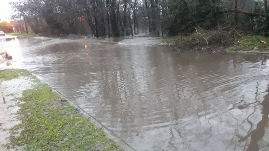 Por fuertes tormentas, La Plata amaneció con calles anegadas y arroyos desbordados
