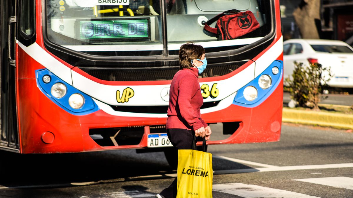 Calendario De Pagos De Anses: Quiénes Cobran El 28 De Mayo | Infocielo