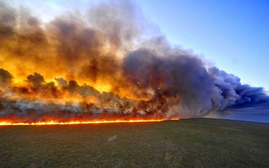 El Amazonas en llamas: imágenes del devastador incendio que afecta al pulmón del planeta