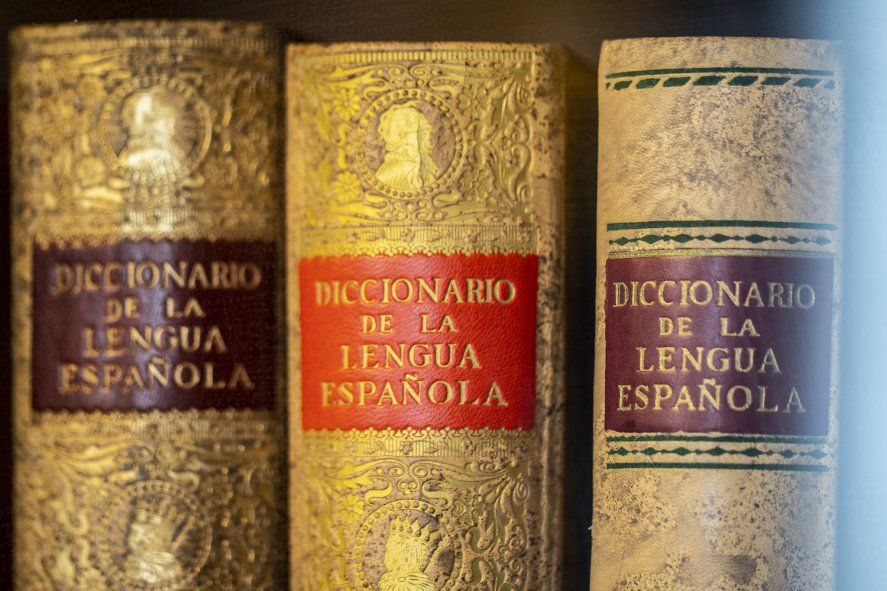 Perreo, Machirulo y No binario: cuáles son las nuevas palabras del diccionario de la RAE
