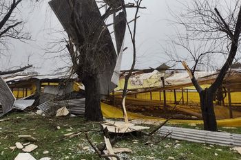 El temporal causó destrozos en una granja de Saladillo ( foto La Síntesis)
